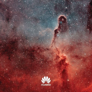 日本老太做爰XXxX
